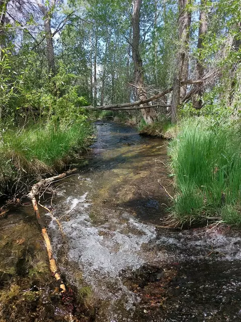 63001 Cc County Rd, Other, CO 81143