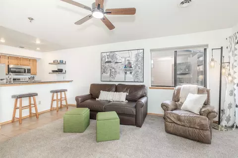 715 S 5th Ave #170, Frisco, CO 80443