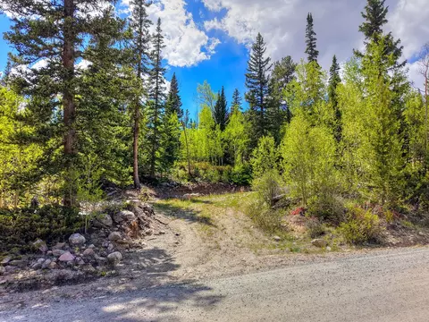 253 Mine Dump Rd, Alma, CO 80440