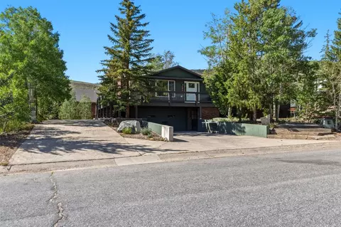 Other - 193 Big Elk Rd, Dillon, CO 80435 photo 11 of 11