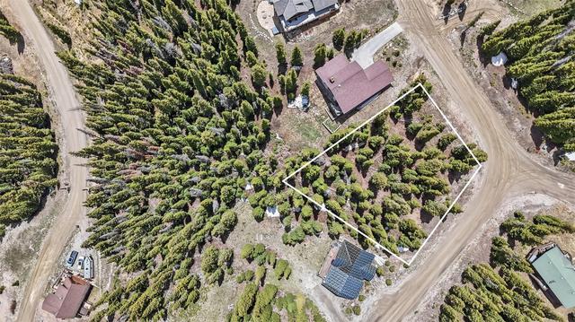 462 Kimmes Ln, Breckenridge, CO 80424