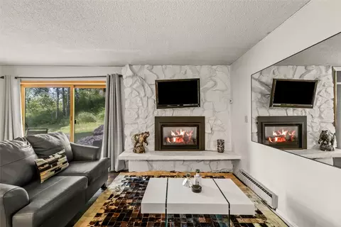 2215 Storm Meadows Dr #110, Steamboat Springs, CO 80487
