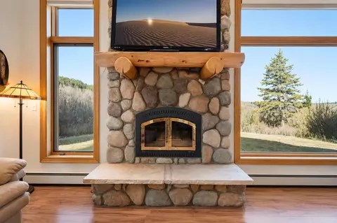 53 Mariposa Pl, Blue River, CO 80424 photo 11