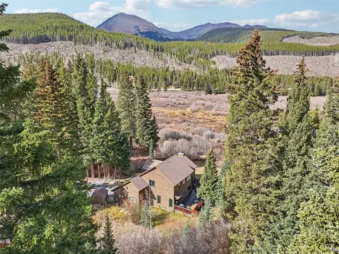 53 Mariposa Pl, Blue River, CO 80424 photo 41