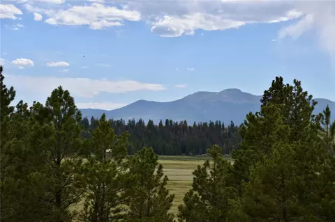 3437 Redhill Rd, Fairplay, CO 80440