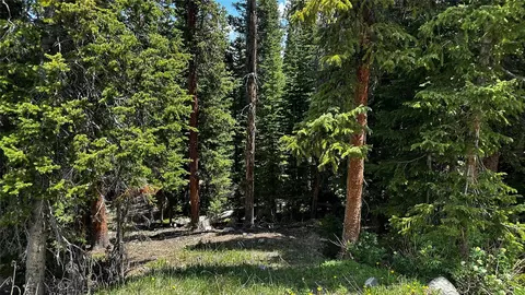 584 Camron Ln, Breckenridge, CO 80424