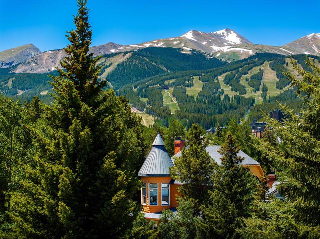 307 S High St, Breckenridge, CO 80424