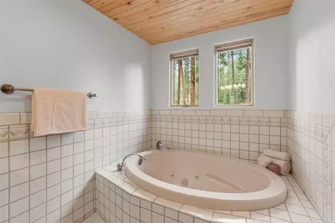 Bath - 22 Glory Hole Dr, Breckenridge, CO 80424 photo 2 of 3