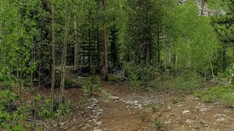 Other - 175 Pine Dr, Frisco, CO 80443 photo 2 of 9
