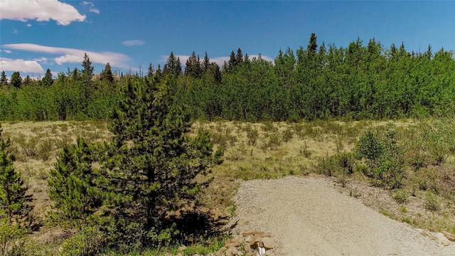 515 Wild Rye Rd, Fairplay, CO 80440