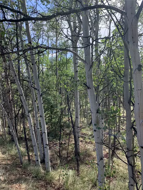540 Vulture Ln, Como, CO 80432 photo 2