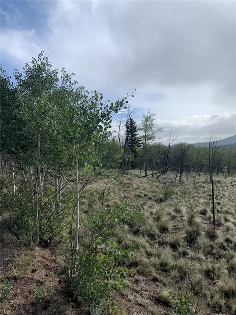 540 Vulture Ln, Como, CO 80432 photo 3