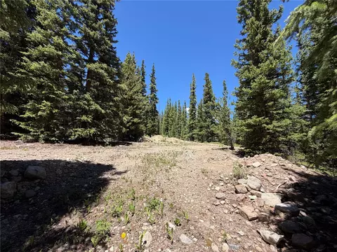 339 Silverheels Pl, Fairplay, CO 80440