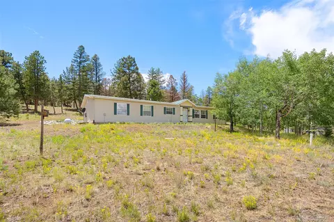1855 Windmill Dr, Hartsel, CO 80449 photo 13