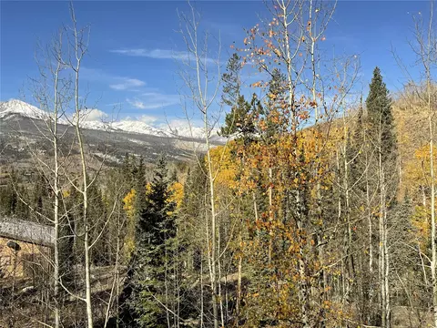 321 Lakeview Cir, Silverthorne, CO 80498 photo 11