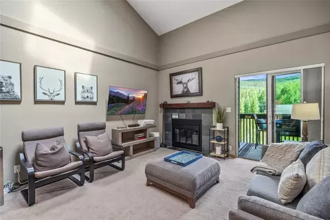 520 Bills Ranch Rd #313, Frisco, CO 80443