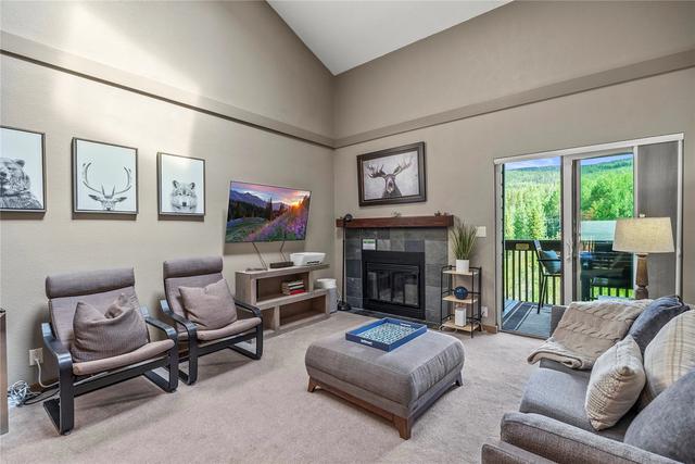 520 Bills Ranch Rd #313, Frisco, CO 80443