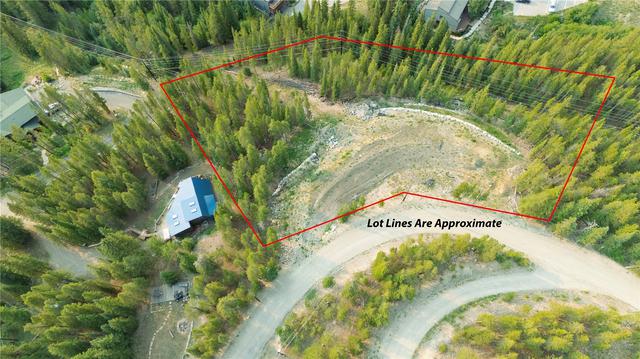 103 Co 529 Rd, Breckenridge, CO 80424