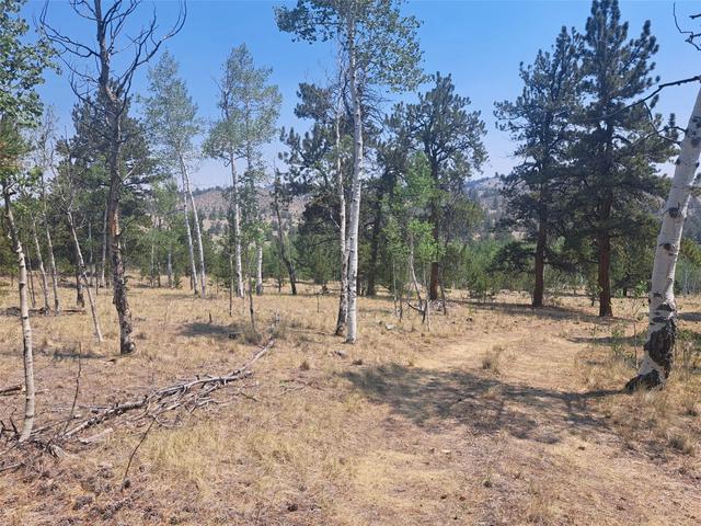 2338 Fitzsimmons Rd, Hartsel, CO 80449