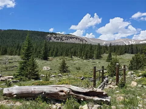 86 Timberline Trl, Fairplay, CO 80440