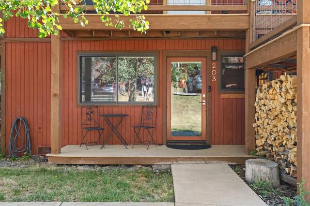 23800 County Road 16 #203, Oak Creek, CO 80467