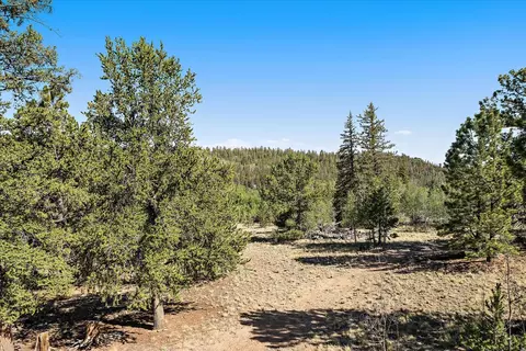 Other - 1720 Ute Trl, Como, CO 80456 photo 4 of 10