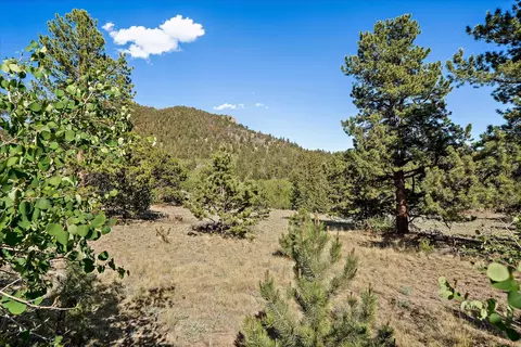 Other - 1720 Ute Trl, Como, CO 80456 photo 10 of 10