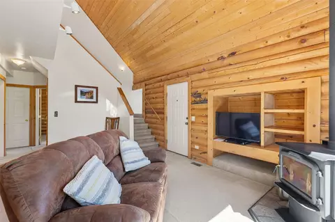 Living - 167 Stellar Jay Way, Fairplay, CO 80440 photo 4 of 4