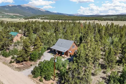 View/Area - 167 Stellar Jay Way, Fairplay, CO 80440 photo 1 of 10