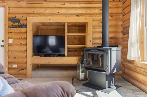 Living - 167 Stellar Jay Way, Fairplay, CO 80440 photo 3 of 4