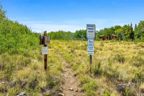 Other - 167 Stellar Jay Way, Fairplay, CO 80440 photo 8 of 8