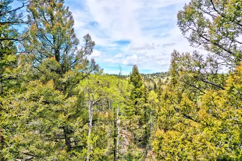 28 Old Squaw Rd, Como, CO 80432 photo 12
