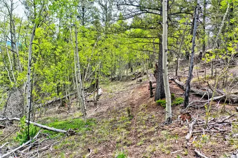 28 Old Squaw Rd, Como, CO 80432 photo 10