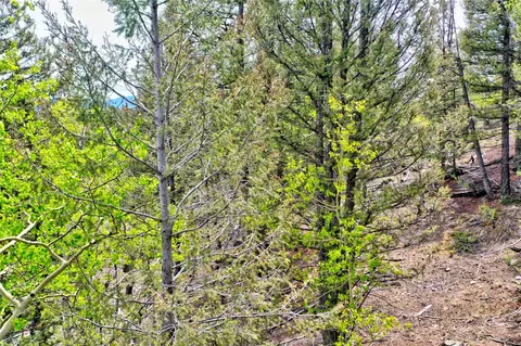 28 Old Squaw Rd, Como, CO 80432 photo 14