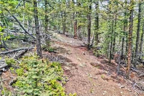 28 Old Squaw Rd, Como, CO 80432 photo 8