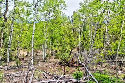28 Old Squaw Rd, Como, CO 80432 photo 7