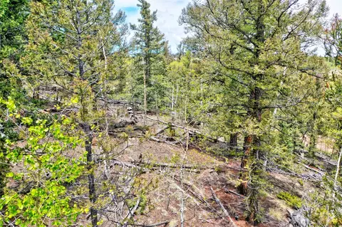 28 Old Squaw Rd, Como, CO 80432 photo 16