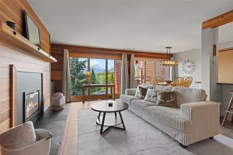 91300 Ryan Gulch Rd #314, Silverthorne, CO 80498