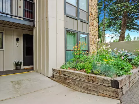 Exterior - 176 E La Bonte St #101, Dillon, CO 80435 photo 2 of 10