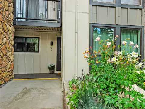 Other - 176 E La Bonte St #101, Dillon, CO 80435 photo 6 of 7