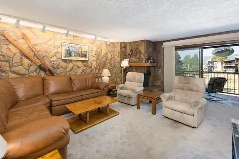 176 E La Bonte St #A-204, Dillon, CO 80435 photo 4