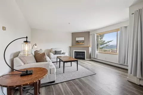 95600 Ryan Gulch Rd #95623, Silverthorne, CO 80498