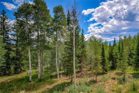 Exterior - 61 Bashore Ct, Silverthorne, CO 80498 photo 9 of 10