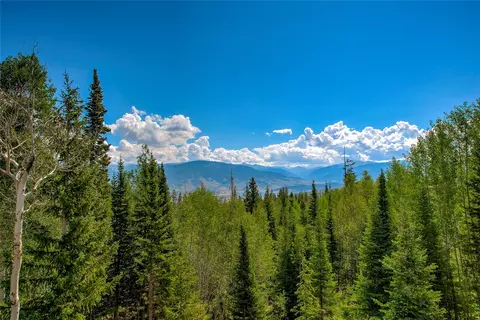 Other - 61 Bashore Ct, Silverthorne, CO 80498 photo 1 of 13