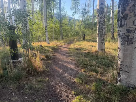 Other - 116 Youngs Preserve Rd, Silverthorne, CO 80498 photo 5 of 8