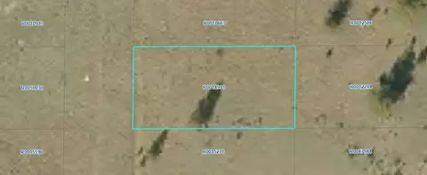 00001 Pine St, Hartsel, CO 80449