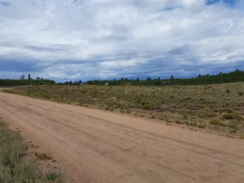 539 Mustang Trl, Como, CO 80432 photo 9