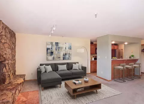 Living - 180 E La Bonte St #415, Dillon, CO 80435 photo 1 of 6