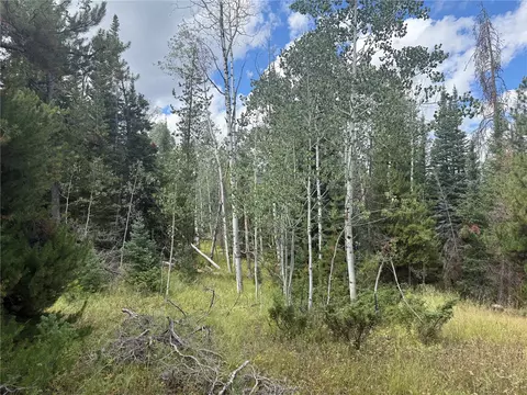 20875 Mustang Way, Oak Creek, CO 80467
