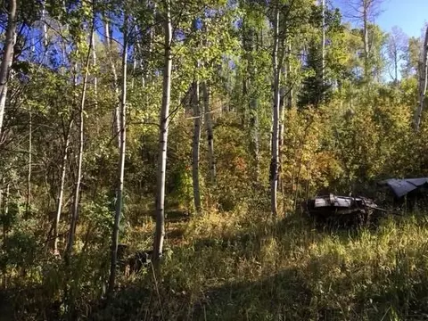 tbd Rcr 24 Rd, Steamboat Springs, CO 80487